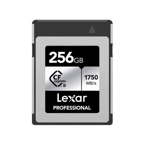 Lexar professional silver - professional,